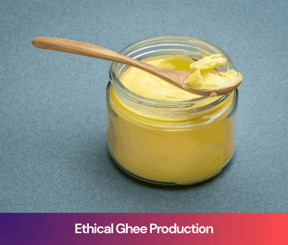 Ethical Ghee Production: Why Cow Care Is the Foundation of Truly Pure Ghee